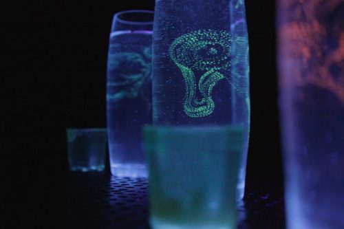 Showna Kim_Artifical Incubator