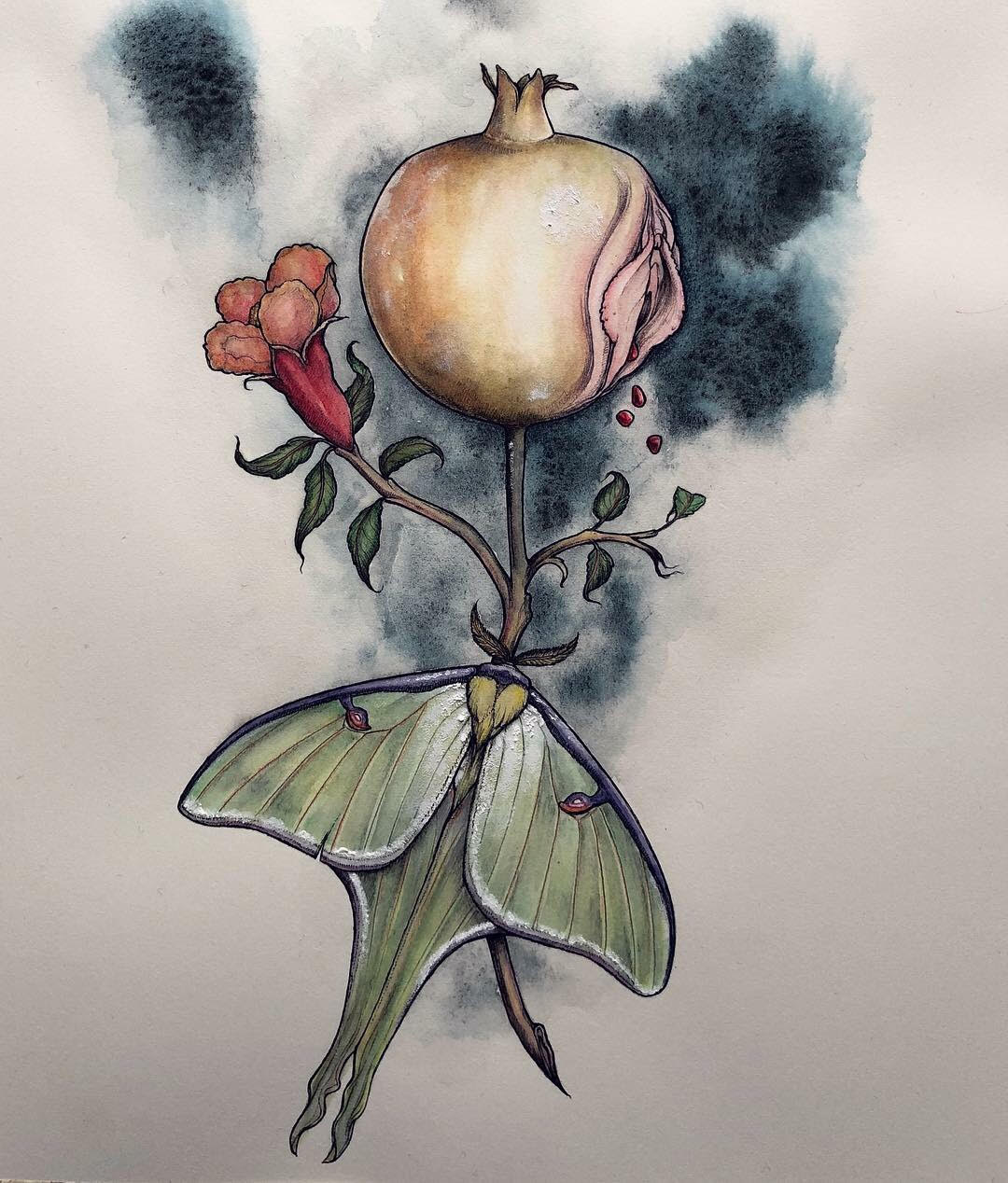 Menstruation Alqumit Alhamad