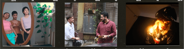 Stills from the short films in the curated programme as a camera reel.